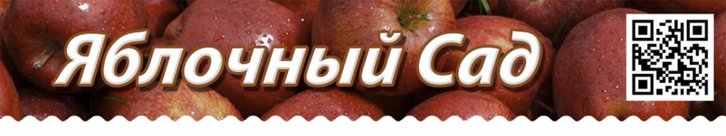 Яблочный сад - сидр сухой в кегах